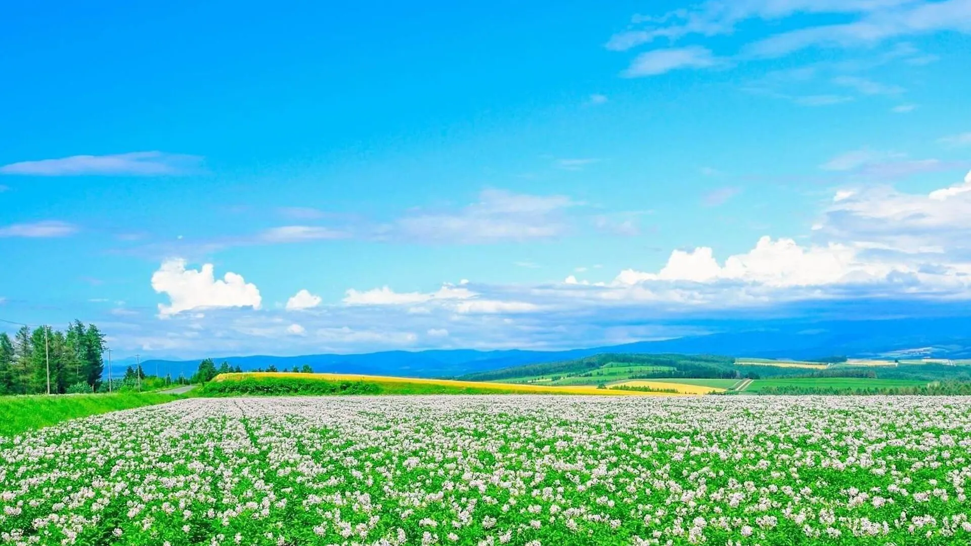 Διαμέρισμα Seven Building / Vacation Stay 4960 Asahikawa